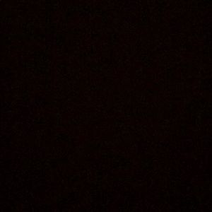 Meet your Posher, Terry